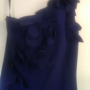 Frascara gown, size 10, royal blue.